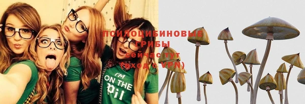 соль ск Заволжск