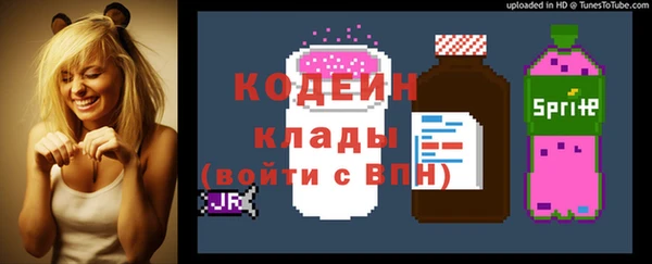 МДПВ Елизово
