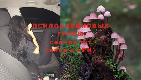 МДМА Заводоуковск