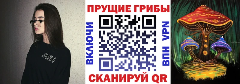 Псилоцибиновые грибы мухоморы Саянск