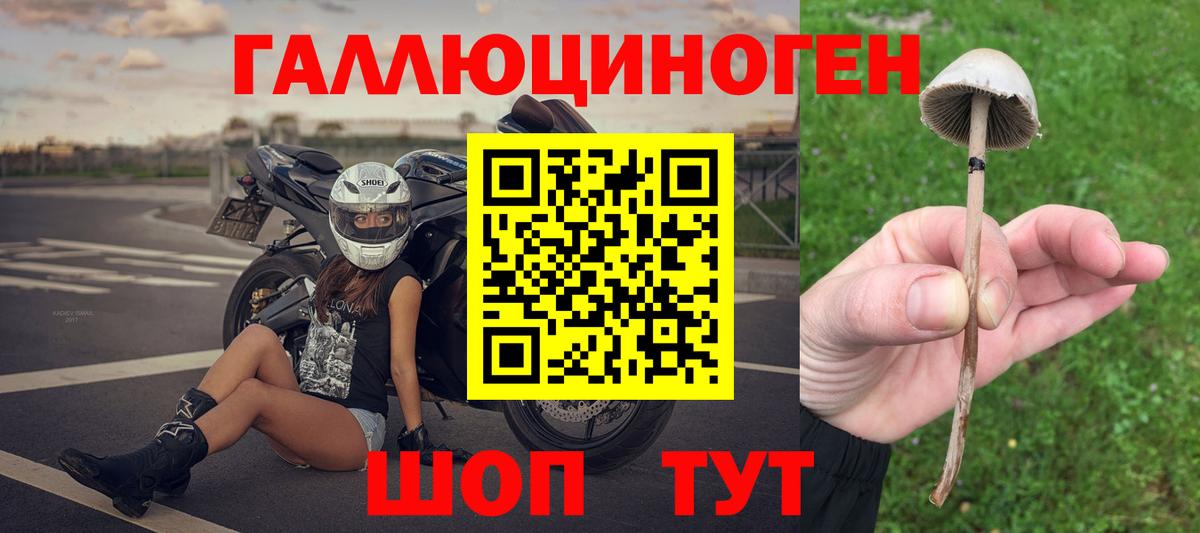 Псилоцибиновые грибы мухоморы Саянск