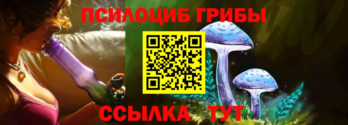 наркота  Псилоцибиновые грибы Psilocybine cubensis  Вход с VPN  Саянск 